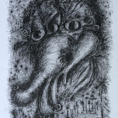 Echoes of the Elephant