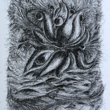 Eyes of the Whirlwind