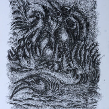 Tangled Forest