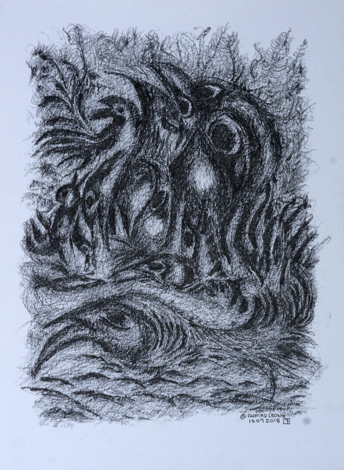 Tangled Forest