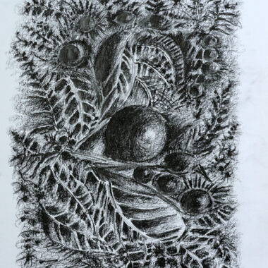 Garden of Bounty