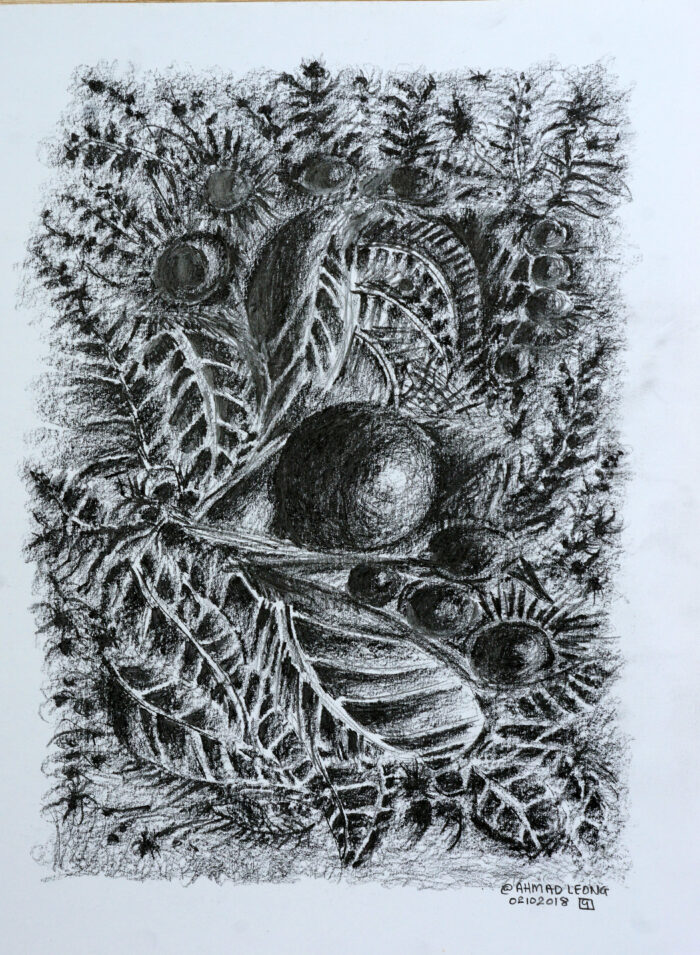 Garden of Bounty